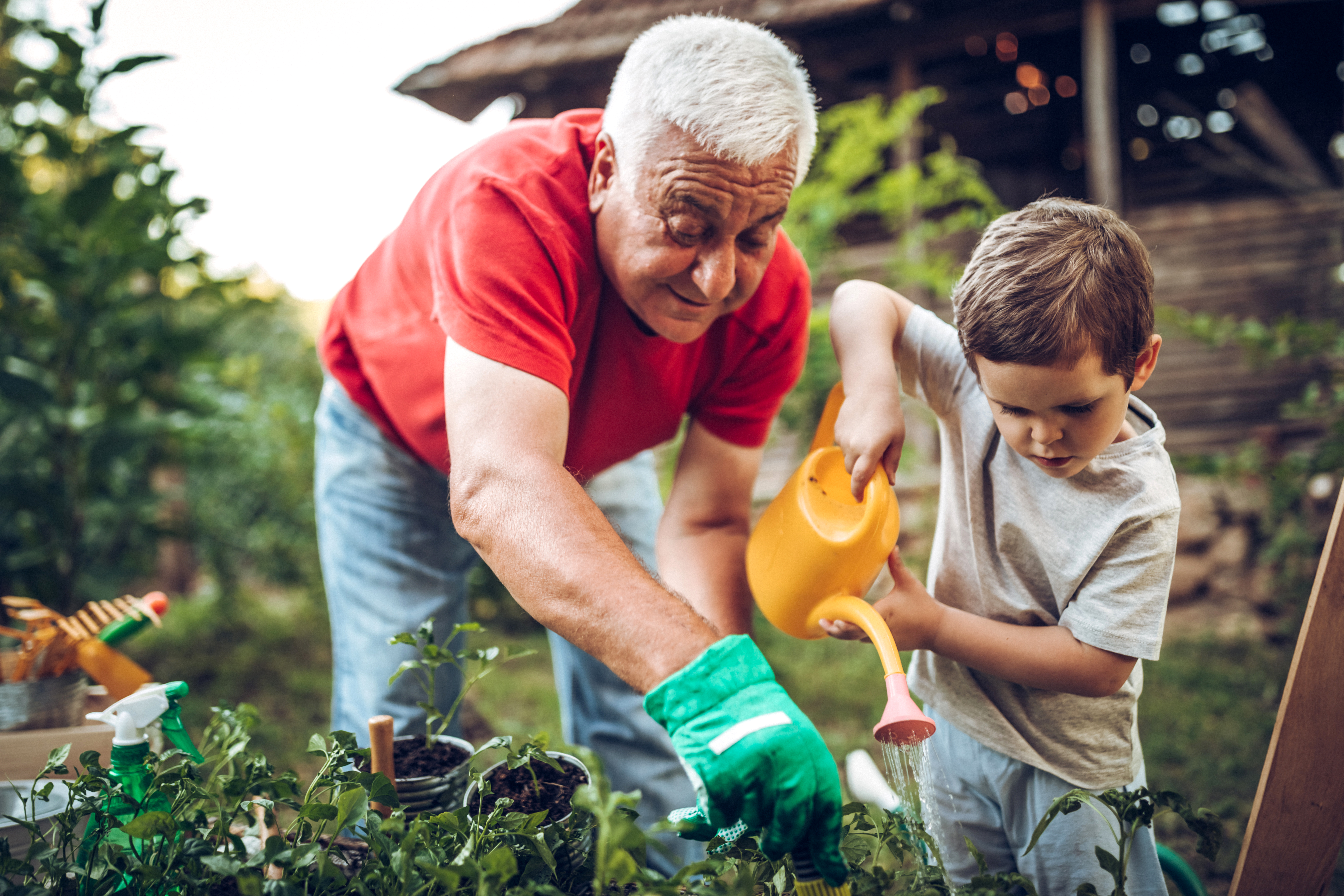 Grandparent gardening with grandchild