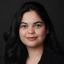 Photo of Dr. Hira Beg, MD