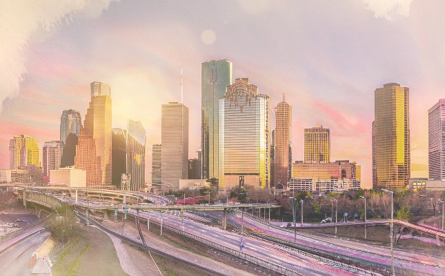Houston Skyline Annual Report