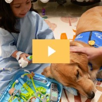 Two new furry employees have joined the team at Children’s Memorial Hermann!