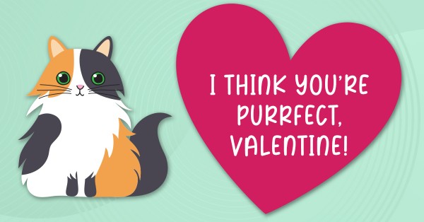 Valentine's Card - Cat