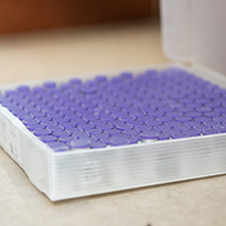 A tray of purple-topped medical vials.
