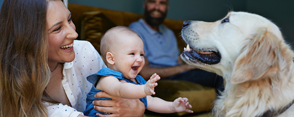 A family enjoying time together with their baby and dog