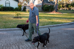 Pradip Desai walking dogs