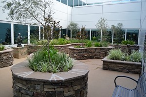 Healing garden at Memorial Hermann Southeast