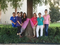 Pink ribbons on tree MHPL group