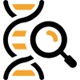 Support Research