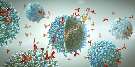 Bispecific Antibody Therapy