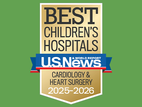 US News Rankings Badge
