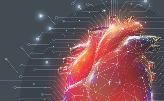 Stylized illustration of heart