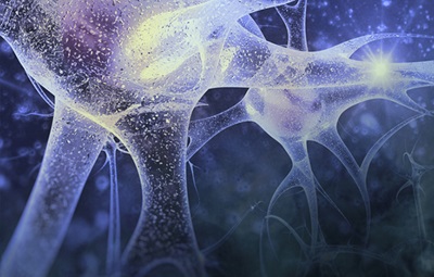 Graphic representation of a Neuron