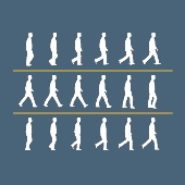 TIRR Memorial Hermann Gait Courses Iconography