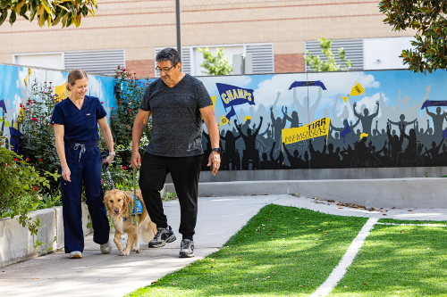 TIRR Memorial Hermann therapy dog, Annie, a physical therapist, and a rehabilitation patient, walk together around the rehabilitation track.