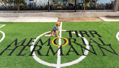 TIRR Memorial Hermann therapy dog, Annie, sits on the rehabilitation football field. 