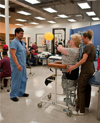 Therapists doing exercises with patient