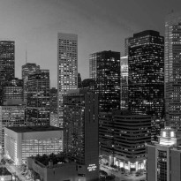 Trauma Newsletter Icon