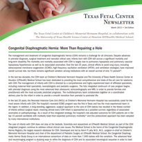 The Fetal Center Journal Winter 2013 Cover